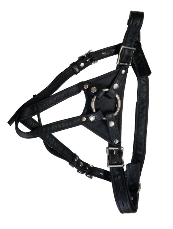Crotch Rocket Strap On - Image 6