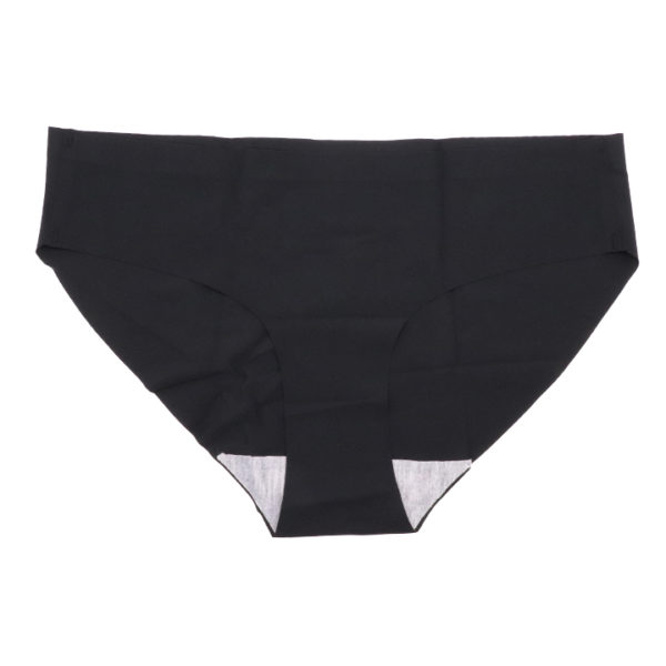 Sissy Classic Nylon Panty - Image 19