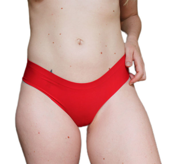 Sissy Classic Nylon Panty - Image 3