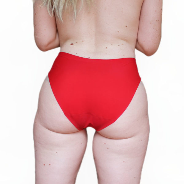 Sissy Classic Nylon Panty - Image 5