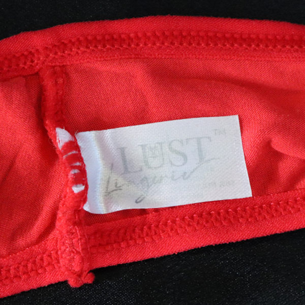 Sissy Heart Lace Panty - Image 20