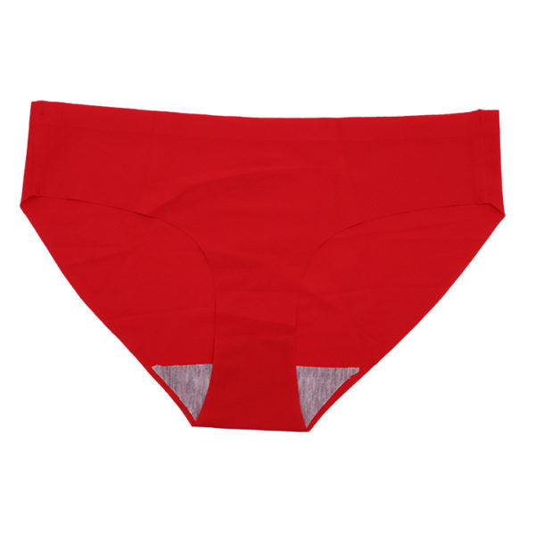 Sissy Classic Nylon Panty - Image 10