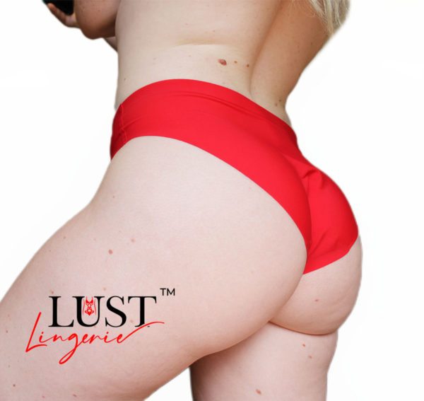 Sissy Classic Nylon Panty
