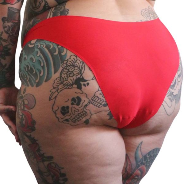 Sissy Classic Nylon Panty - Image 7