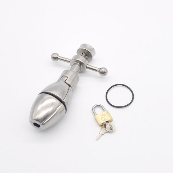 Locking Anal Plug - Image 7