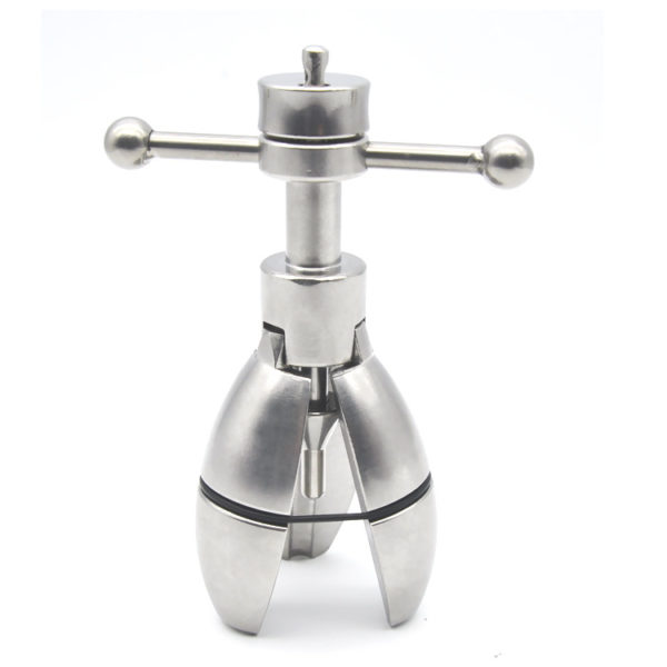 Locking Anal Plug - Image 4
