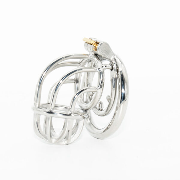 Steel Down Boy - Image 6
