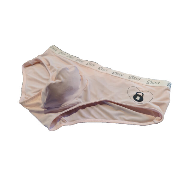 Locked Sissy Panty - Image 2