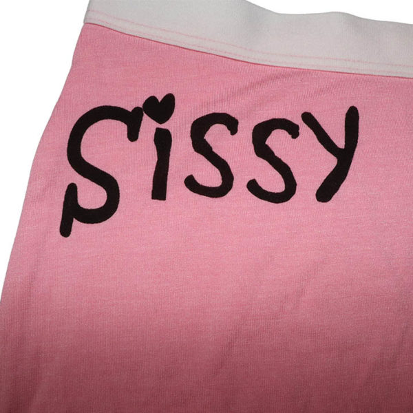 Sissy High-Waisted Boyshorts with Genital Pouch - Image 3