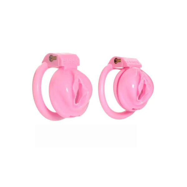 Sissy Pussy Cage - Image 5