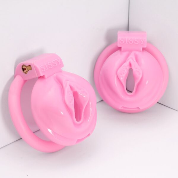 Sissy Pussy Cage - Image 6