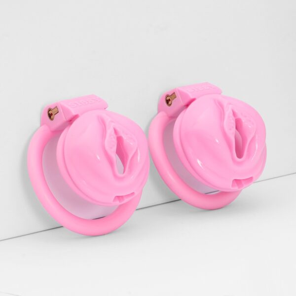 Sissy Pussy Cage - Image 9
