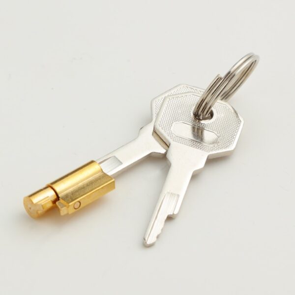 Integrated Magic Barrel Lock - Image 6