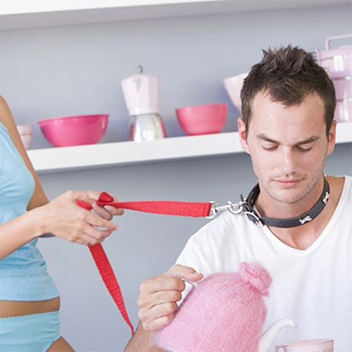 steelwerks classic steel chastity cage