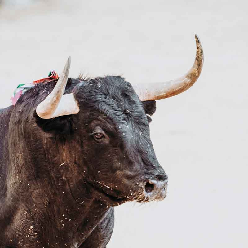 picture showing a heart shaped chastity lock