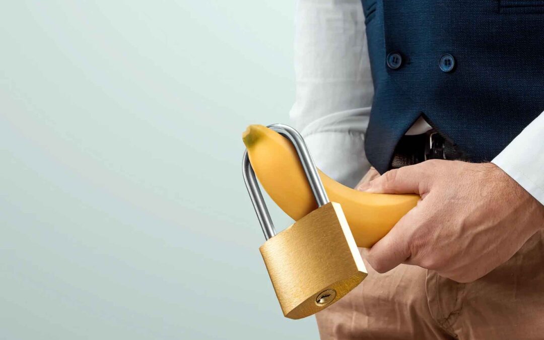 Introduction to Chastity Lockups