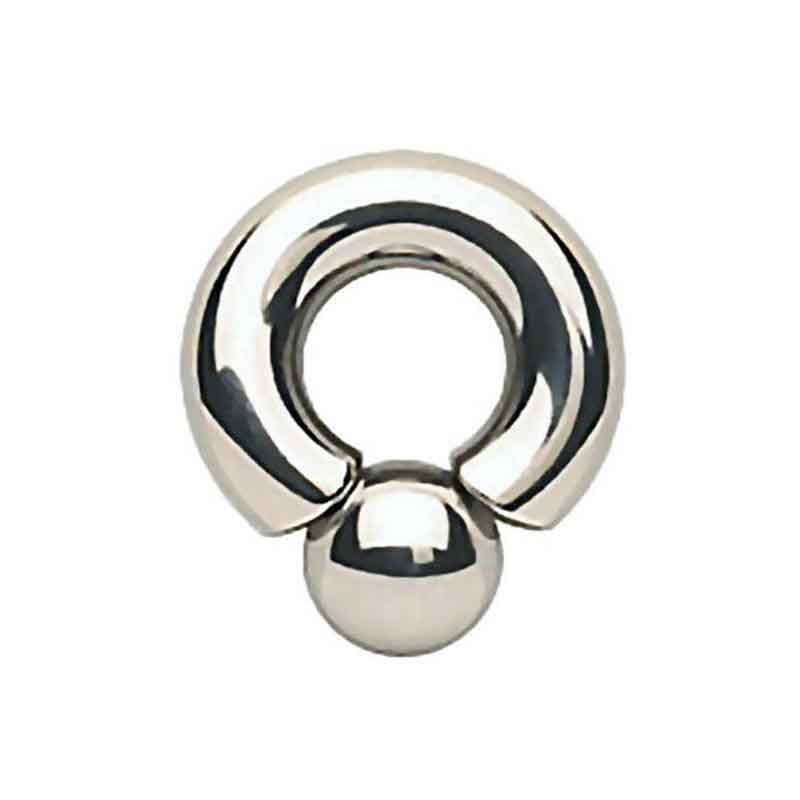 prince albert piercing