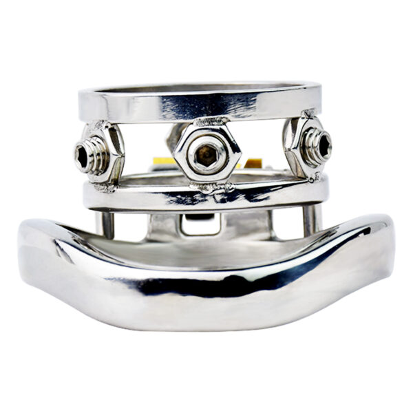 Ring of Torment - Image 3