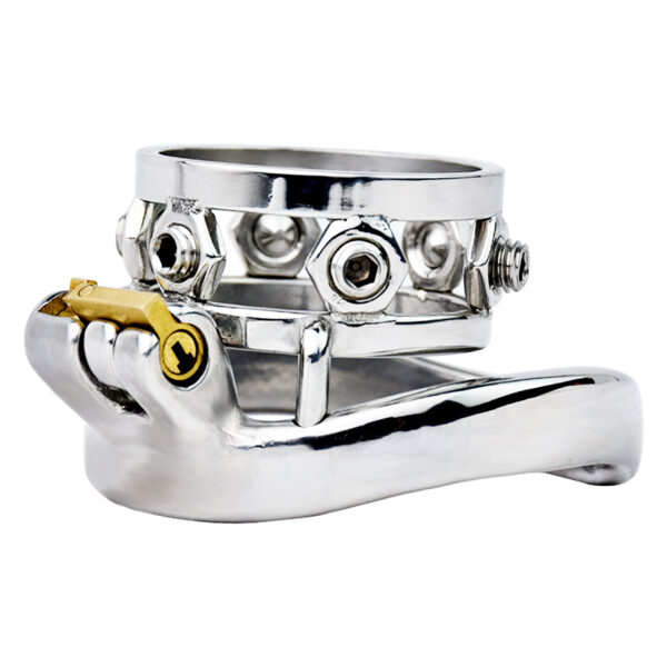 Ring of Torment - Image 4